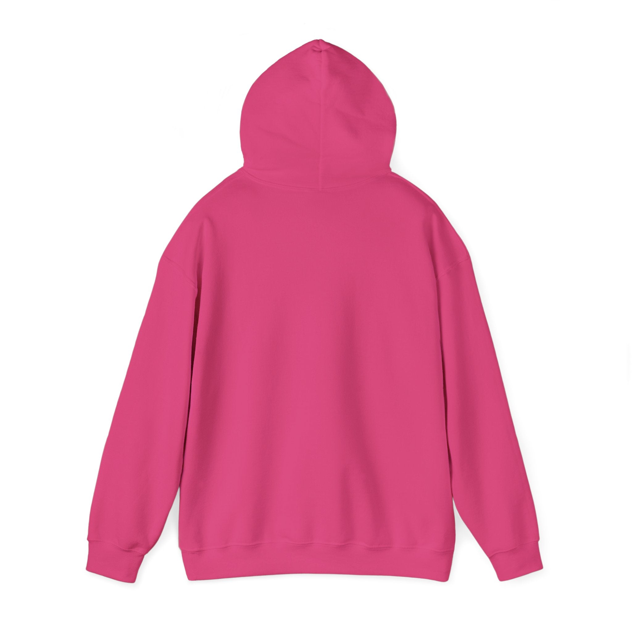 Pink Santa Christmas Hoodie