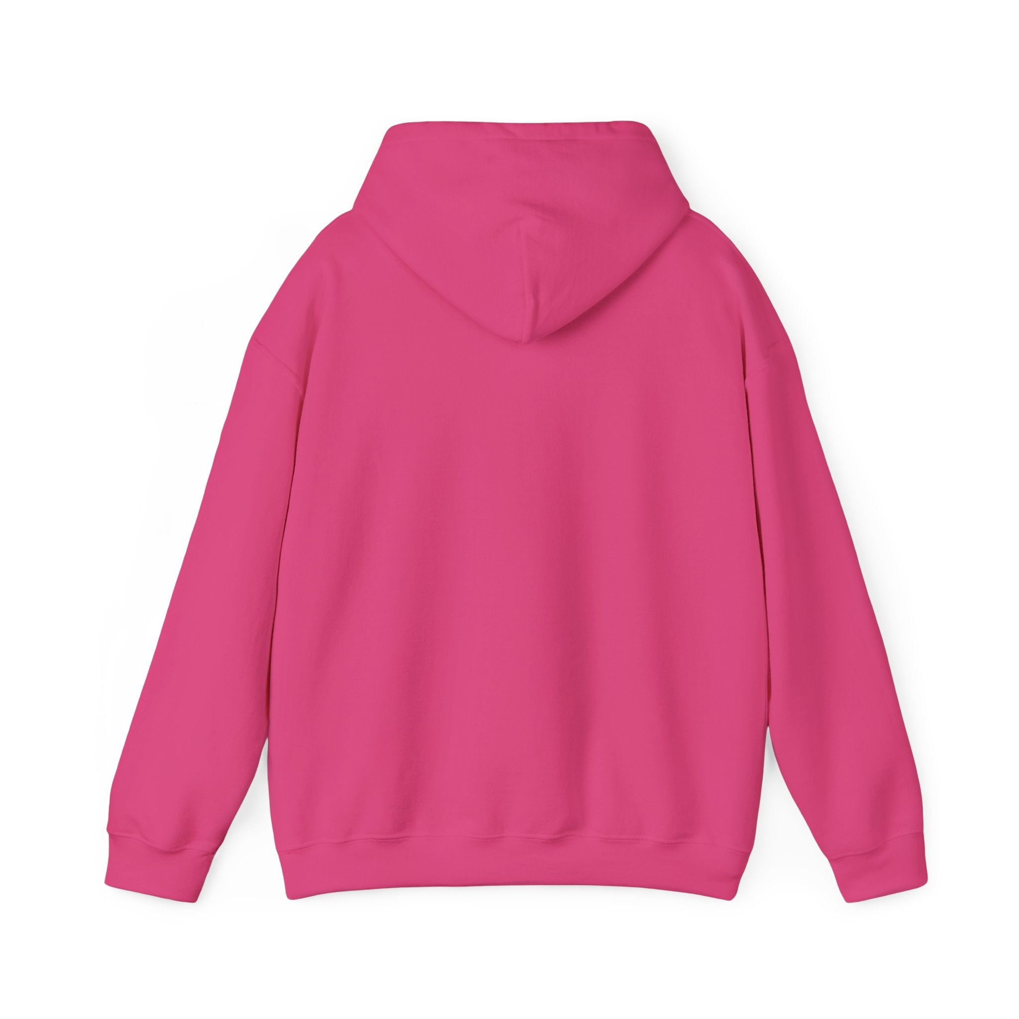 Pink Santa Christmas Hoodie