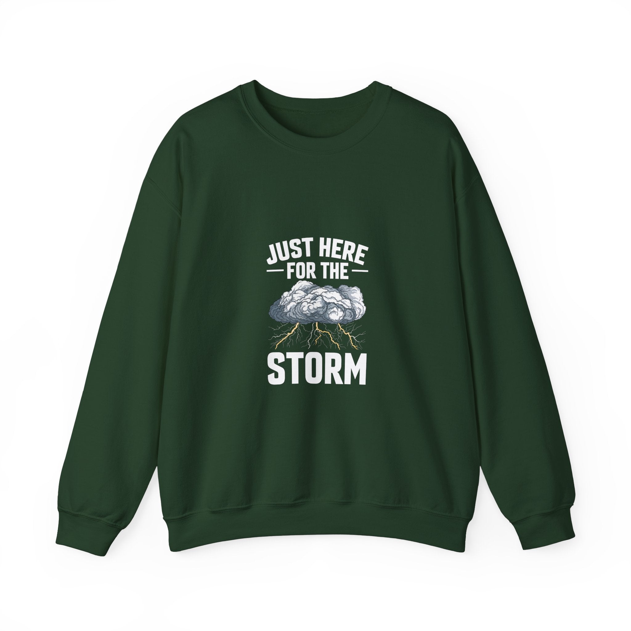 Just Here For The Storm Sweatshirt