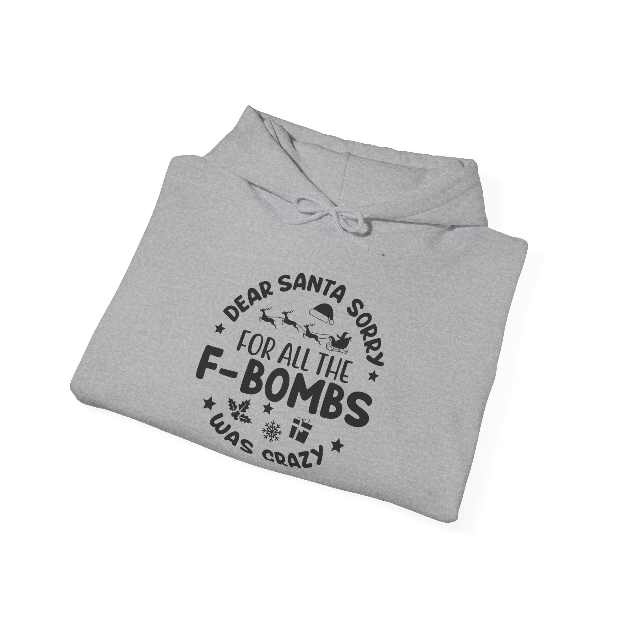 Dear Santa Sorry F-Bombs Christmas Hoodie