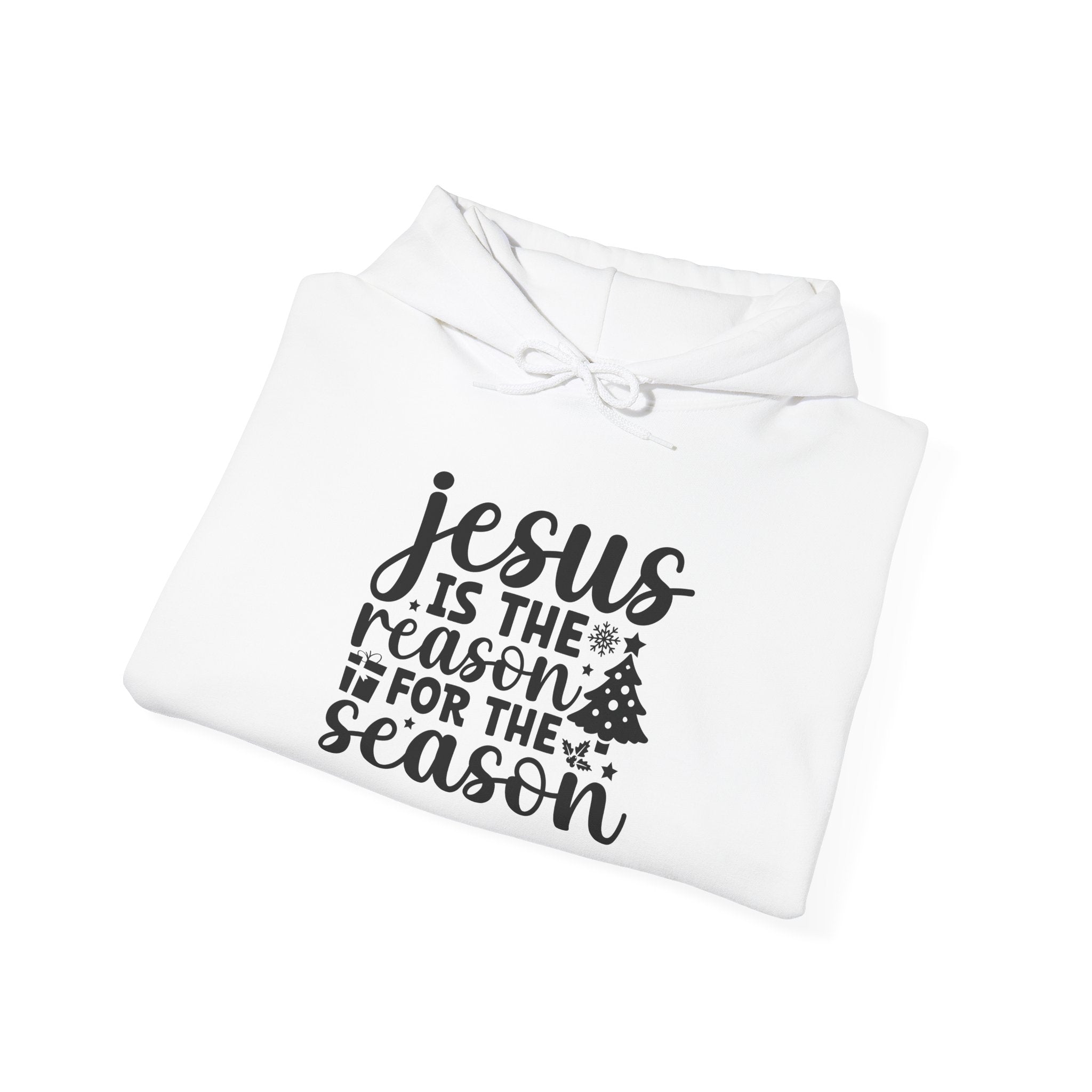 Jesus is the Reason Christmas Hoodie