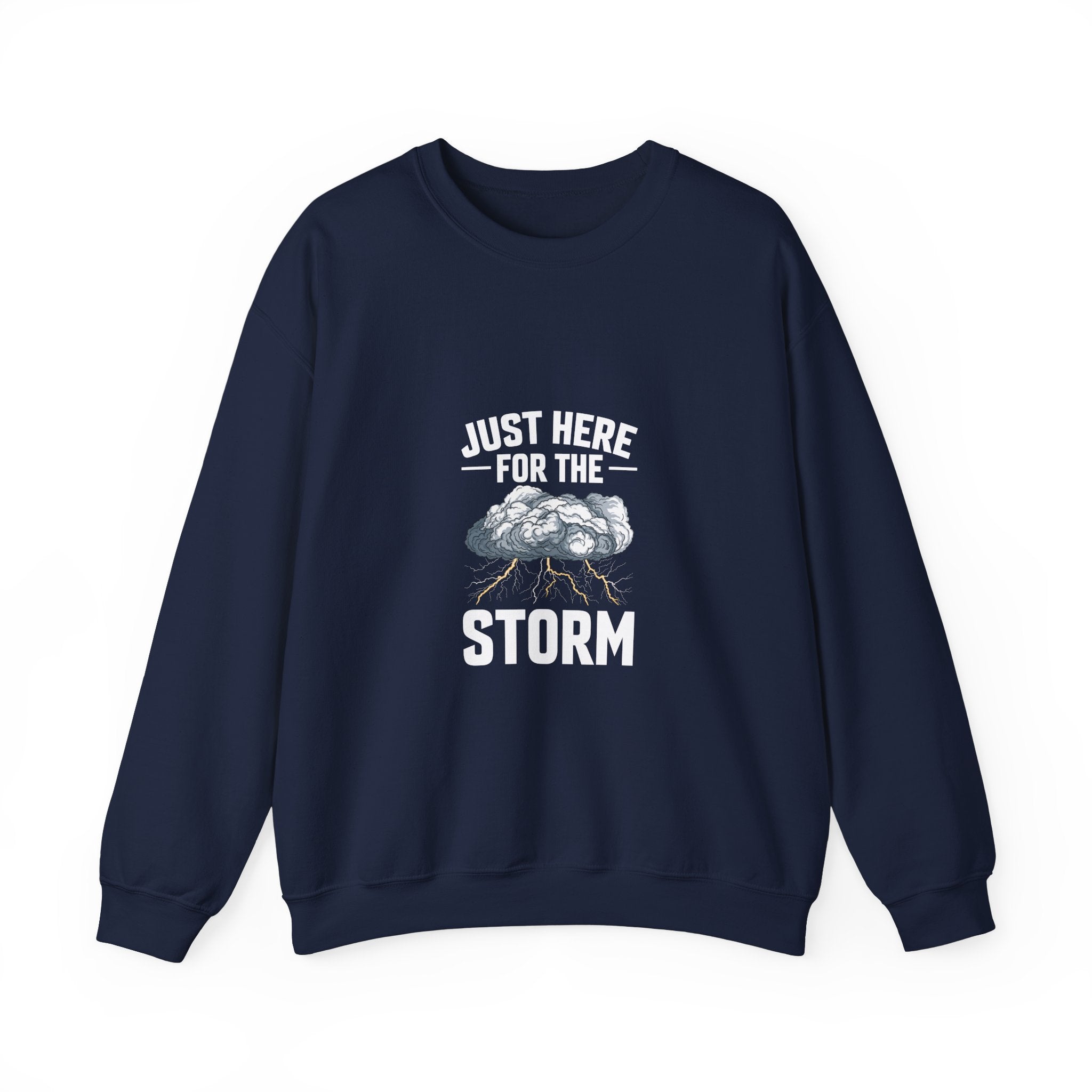 Just Here For The Storm Sweatshirt