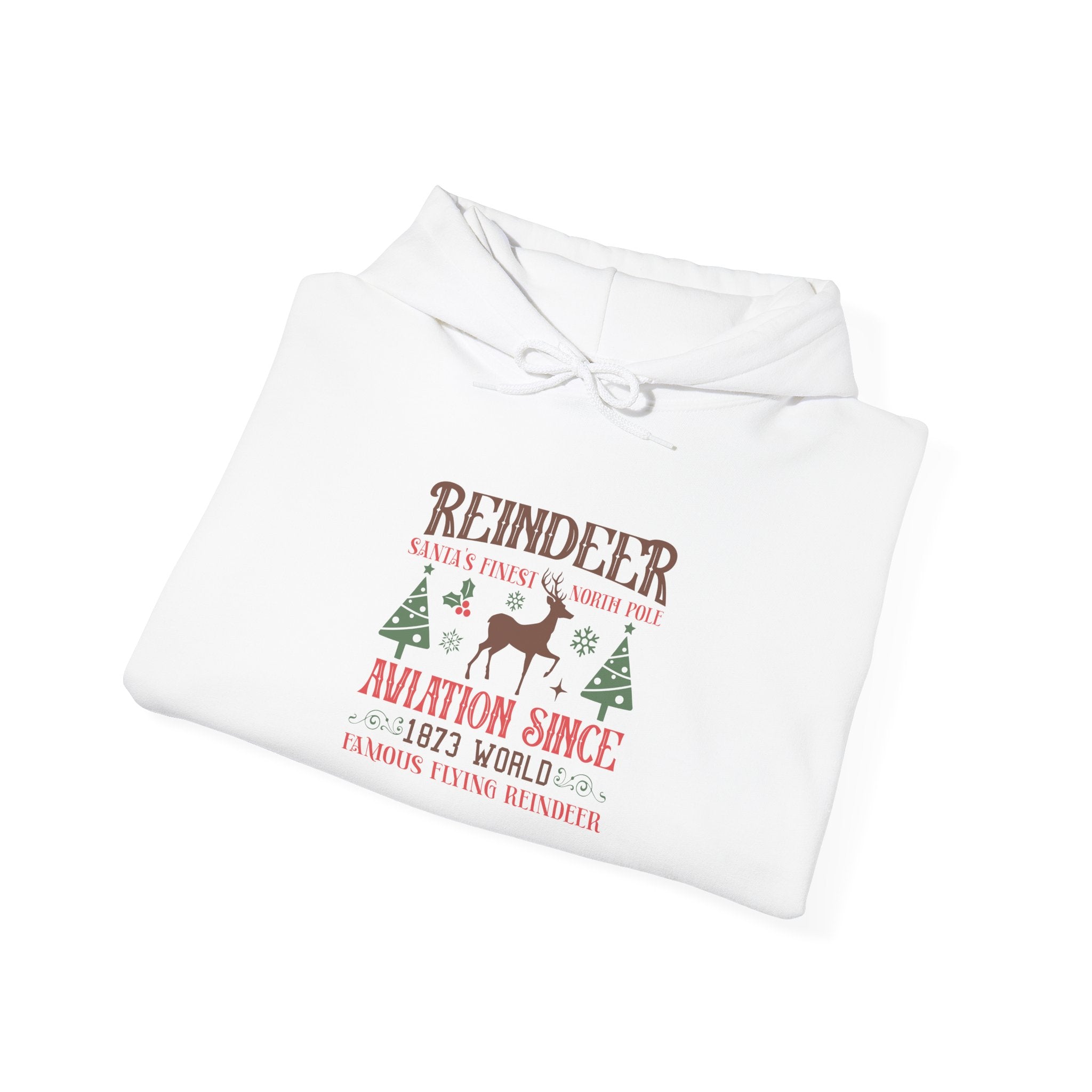 Reindeer Aviation Since 1873 Hoodie