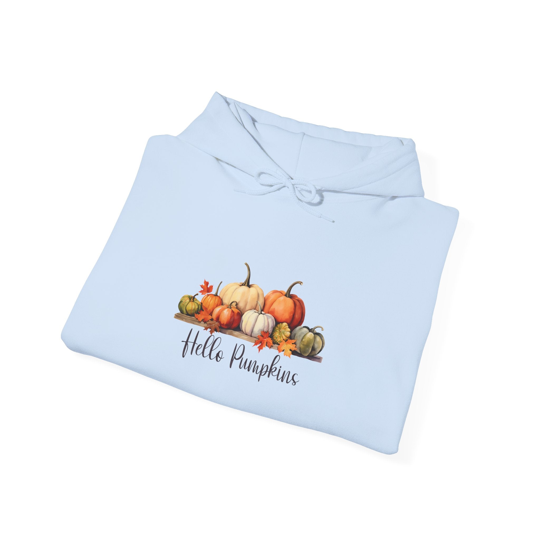 Hello Pumpkins Thanksgiving Hoodie