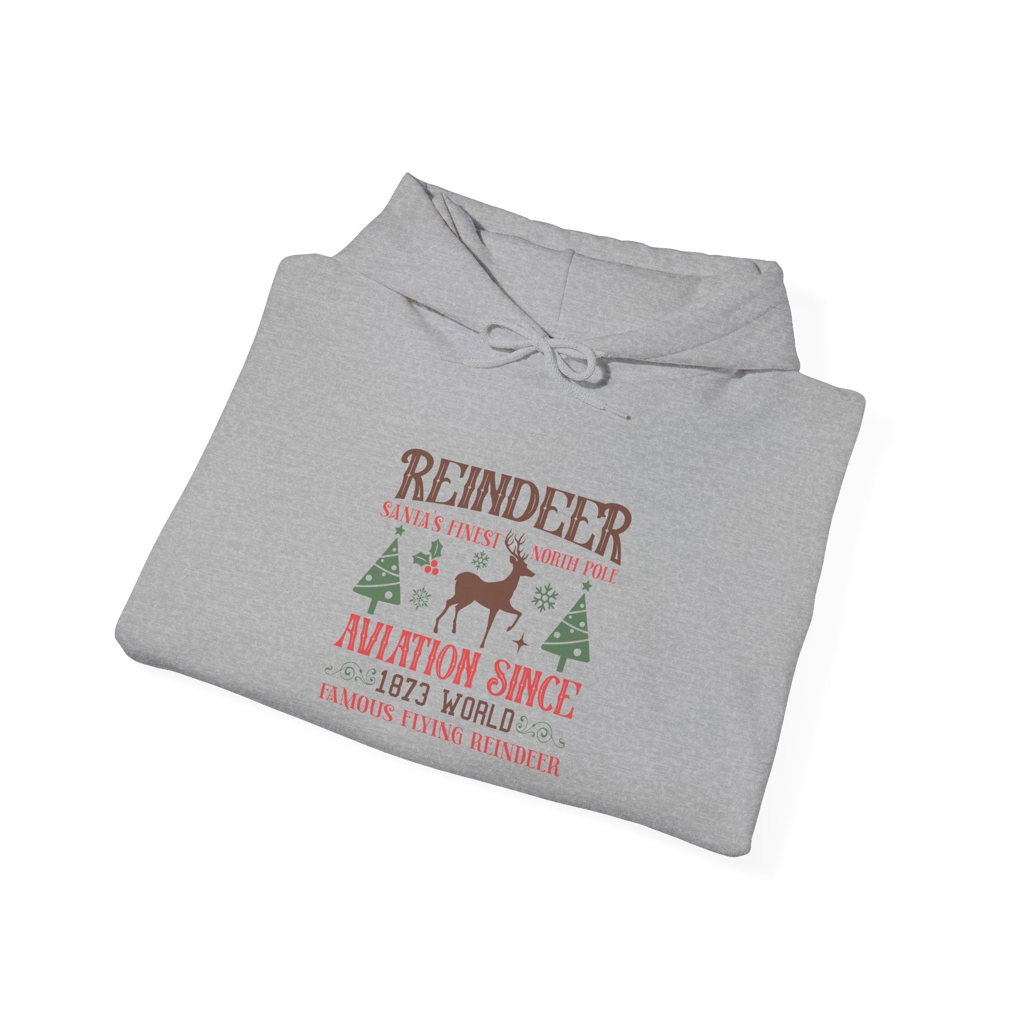 Reindeer Aviation Since 1873 Hoodie