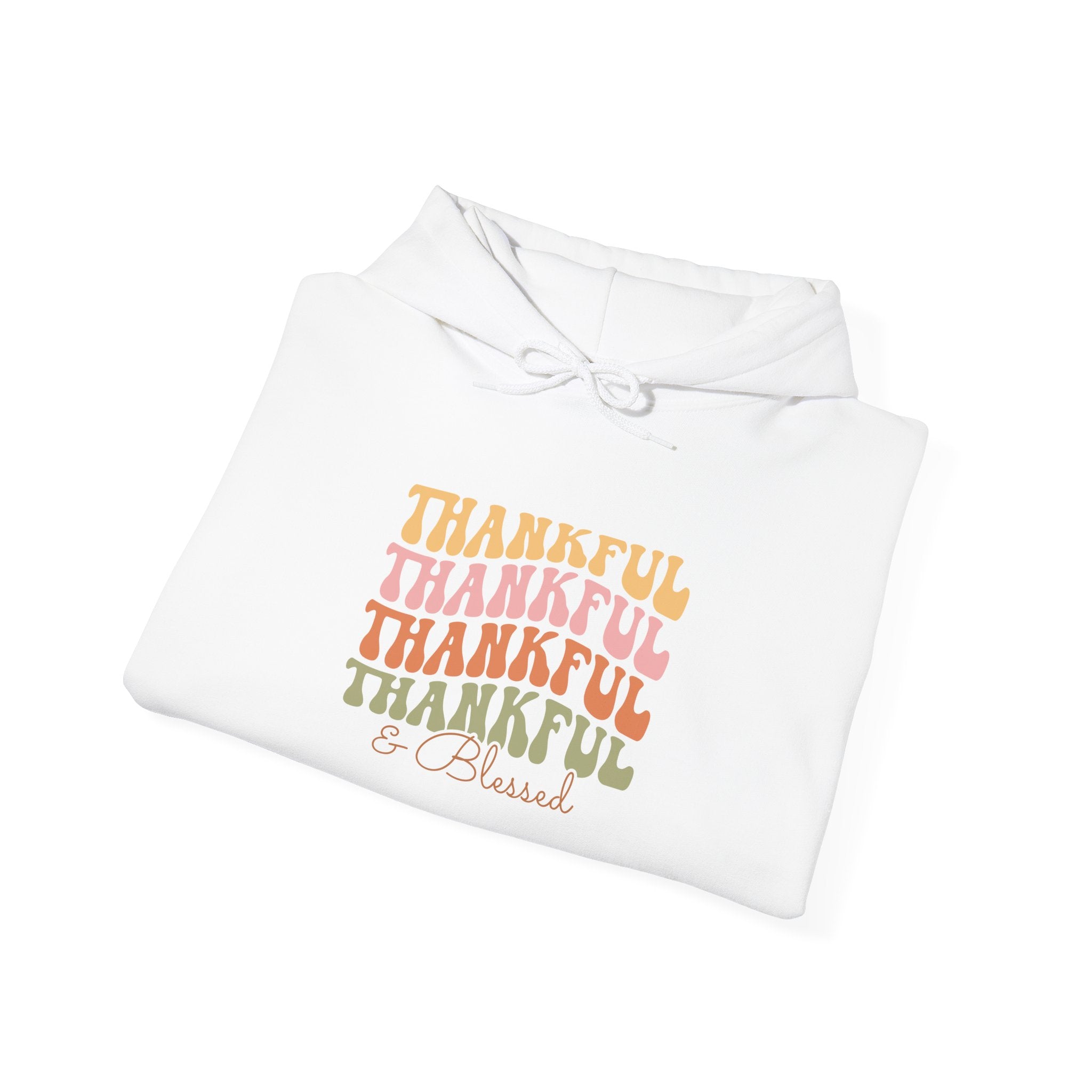 Retro Thankful & Blessed Thanksgiving Hoodie