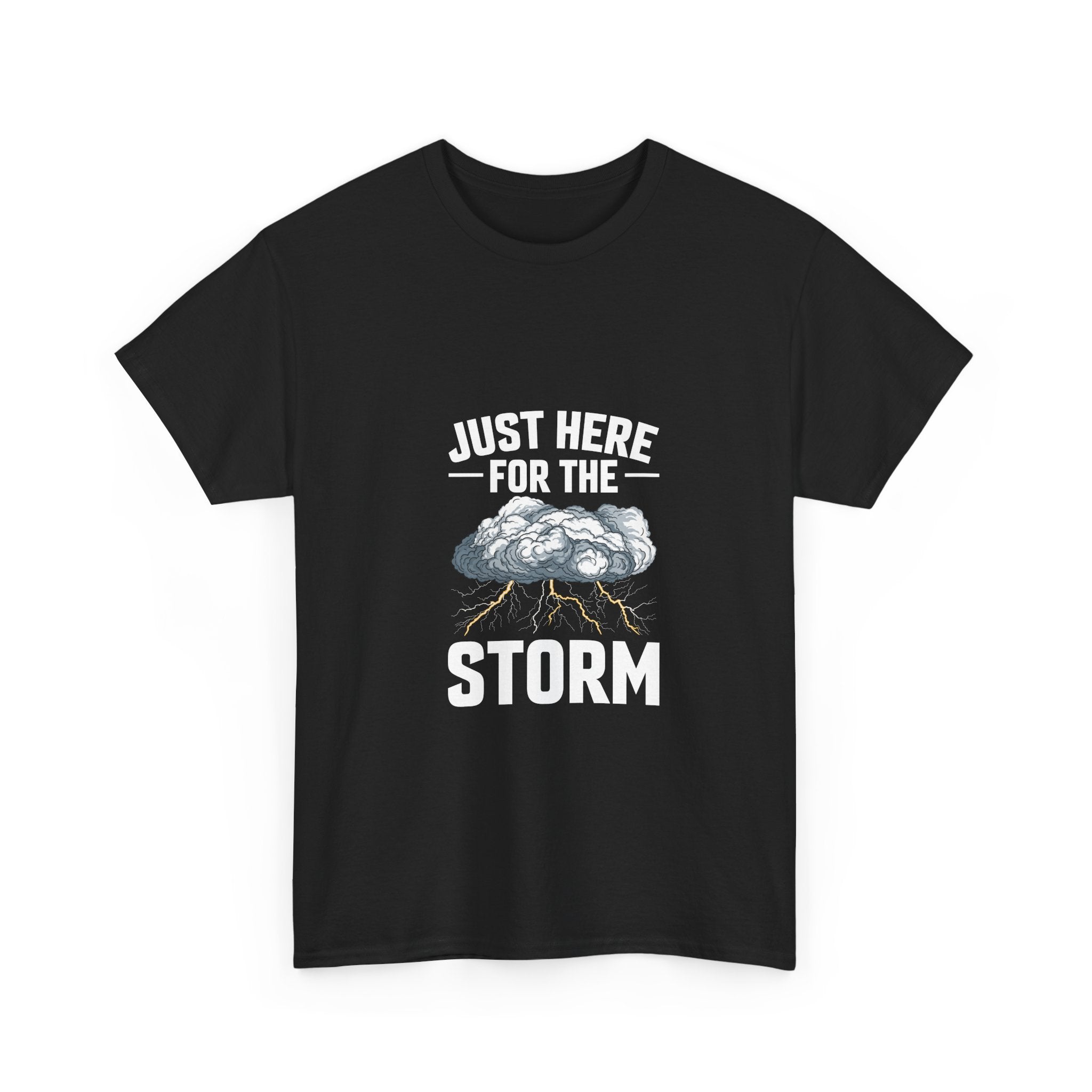 Just Here For The Storm T-Shirt