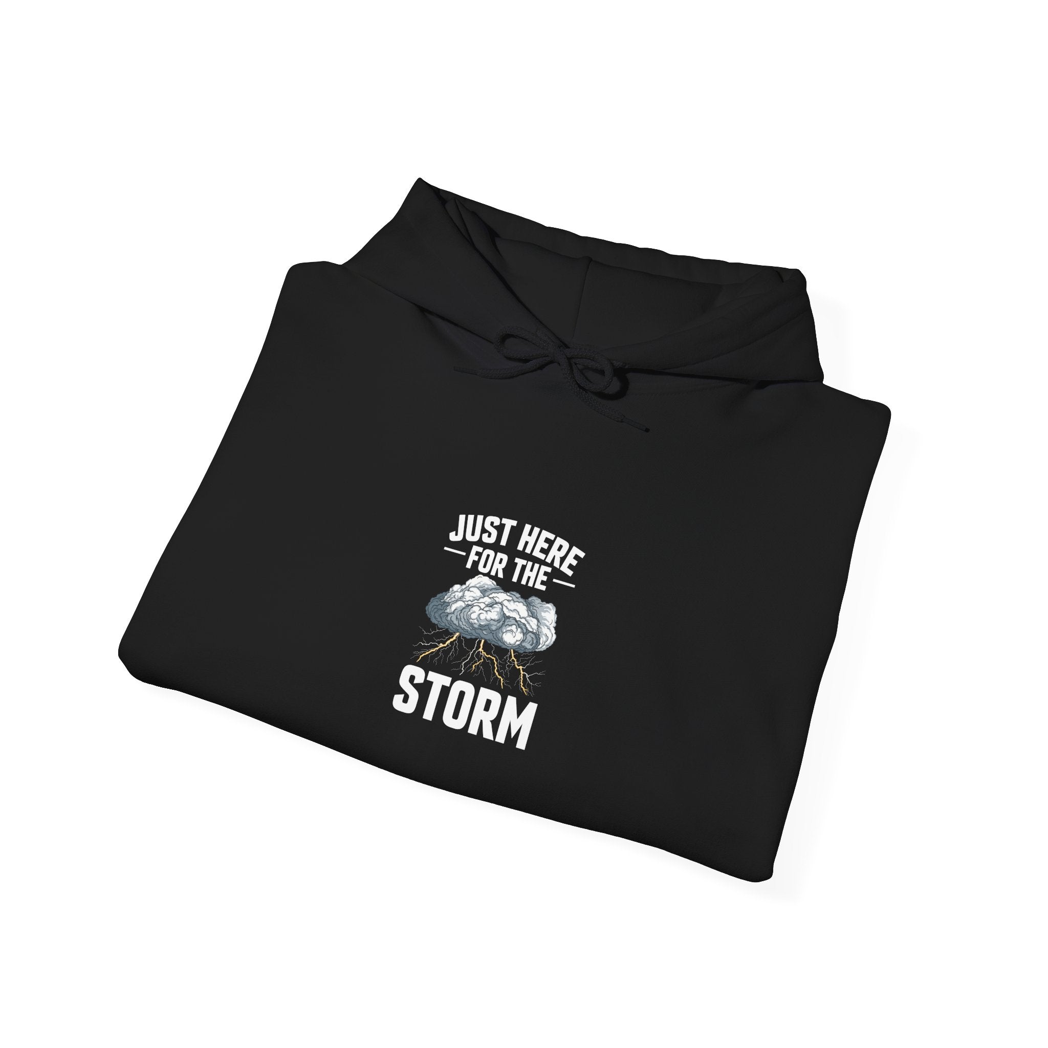 Just Here For The Storm Hoodie