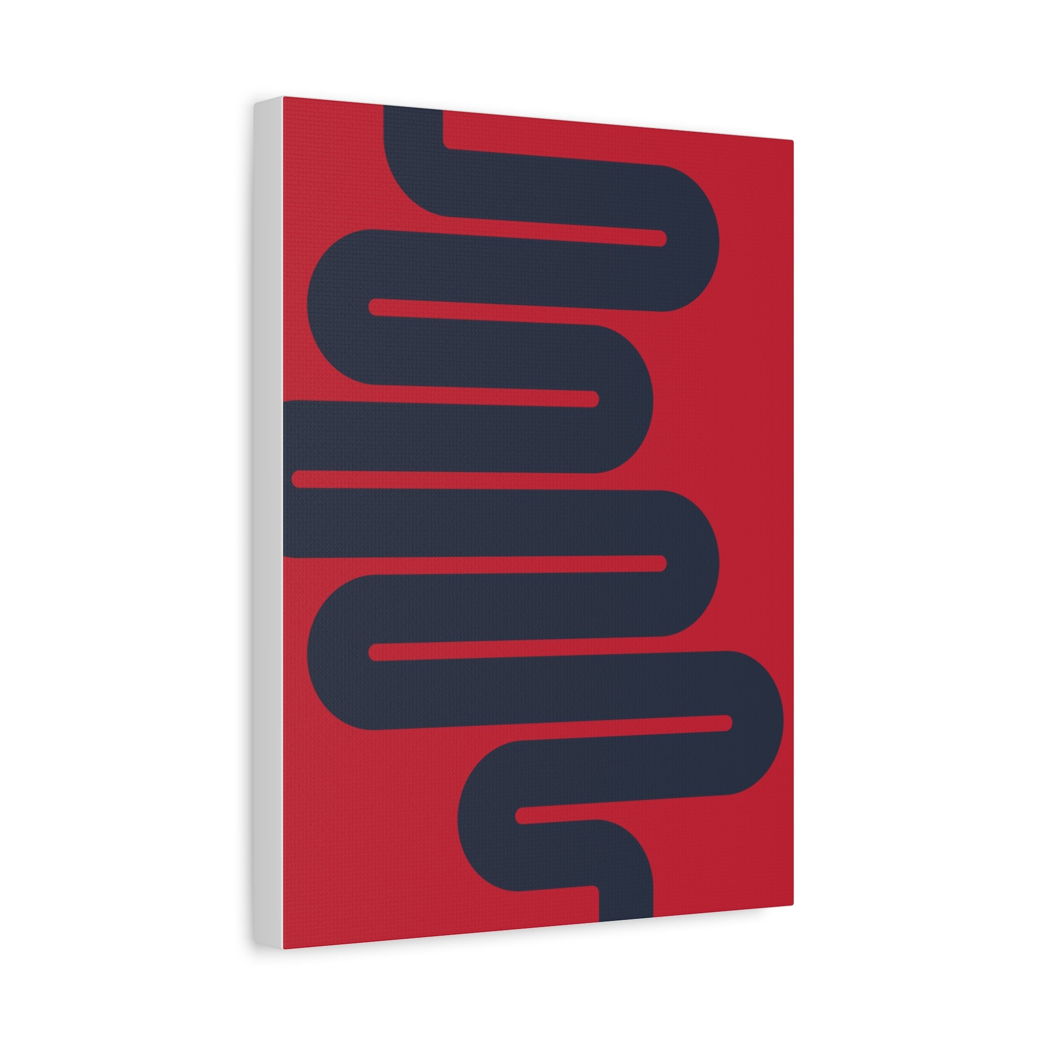 Abstract Intestines Art - Red & Blue Canvas